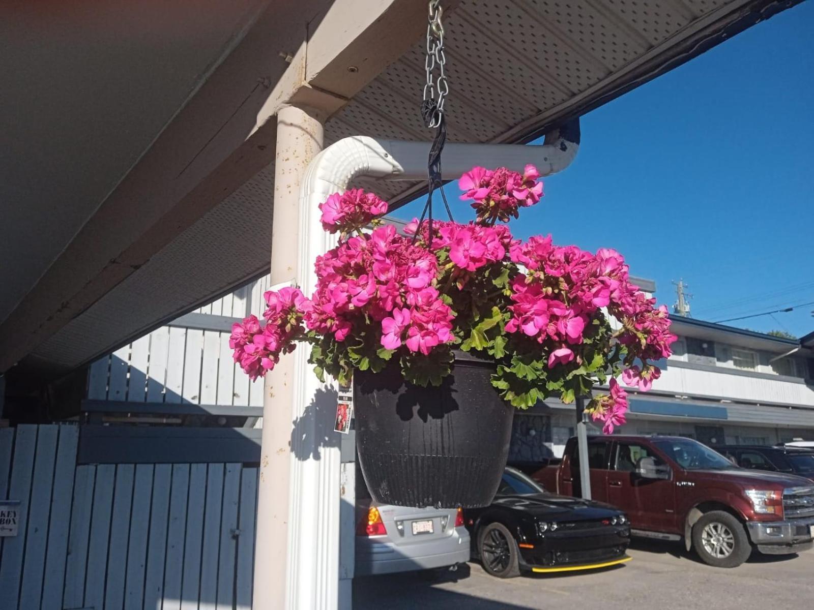 Tara Vista Inn Hinton Exteriér fotografie